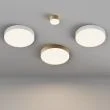 MAYTONI Lampa sufitowa C032CL-45W3K-RD-W