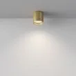 MAYTONI Lampa sufitowa C088CL-GX53-MG