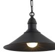 ARGON ERBA 631 lampa wisząca 1 pł.