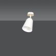 EMIBIG 724/1 LAMPA SUFITOWA ATLAS 1 WHITE