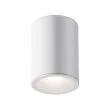 MAYTONI C029CL-01W Zoom lampa sufitowa biały