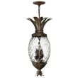 ELSTEAD PLANTATION HK/PLANT4/P PZ 4lt Pendant