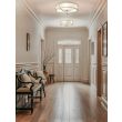 OPEN DESIGN OR84443 Stesso Pl Old Gold L