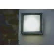 ELSTEAD Egil EGIL-1W 1 Light Wall/Ceiling Lantern