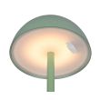 RL RICARDO R54106149 LAMPA ZEWNĘTRZNA PRZENOŚNA zielony