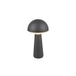 RL FUNGO R57716142 LAMPA ZEWNĘTRZNA PRZENOŚNA antracyt
