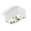 RENDL R13362 JAMES II DIMM sufitowa matowa biała 230V LED 2x15W 24° 3000K