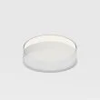 MAYTONI Akcesoria do lampa wbudowana DLA032-TRS45-W