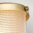 ELSTEAD Dublin QZ-DUBLIN-SF-PNBR 1 Light Semi-Flush Mount - Painted Natural Brass