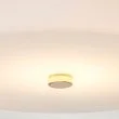 ELSTEAD Tamar TAMAR-F-M-PG 1 Light Medium Flush Light - Polished Gold