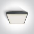 ONE LIGHT 67282EA/AN Warkiza plafon antracyt 16W IP65 korpus ABS i klosz PC