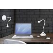 RL VIPER R52391101 LAMPA STOJĄCA - BIURKOWA