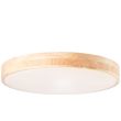 BRILLIANT SLIMLINE G97068/75 LAMPA SUFITOWA