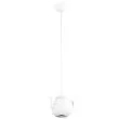 ARGON JAMAJKA 3650 lampa wisząca 1 pł.