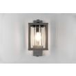 TRIO 212060142 LUNGA lampa zewnętrzna ścienna