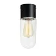 MARKSLOJD 107796 ZEN lampa sufitowa 1L Black/Clear IP44