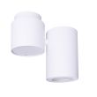 MAXLIGHT BARRO lampa sufitowa C0036