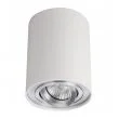 AZZARDO GM4100-WH-ALU / AZ0781 Bross 1 (white/aluminium) Lampa sufitowa