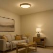 MILAGRO ML1840 Plafon ORINOKO 36W LED Ø480