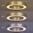 MILAGRO ML1867 Lampa wisząca Union Gold 40W LED 3000-4000-6000K