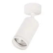 MILAGRO ML2068 Oprawa Pipe Ring Spot Biały 1xGU10