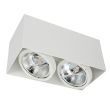 MILAGRO ML4745 Oprawa Natynkowa Plaza 2xGU10 AR111 Biały