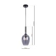 MILAGRO ML8813 Lampa wisząca LUGANO SMOKED 1xE14