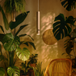MILAGRO MLP2331 Lampa wisząca JOKER CASHMERE/GOLD 1xGU10