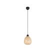 RL AMELIE R31941036 lampa wisząca