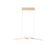 RL GINKO R35791166 lampa wisząca