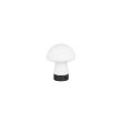 RL DOOLEY R54981131 lampa stołowa