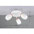 RL BIDAR R61573331 reflektor