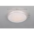 RL VARDA R64811101 lampa sufitowa