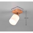 RL R81111030 ASSAM lampa ścienna - reflektor