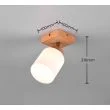 RL R81111030 ASSAM lampa ścienna - reflektor