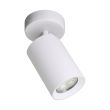 ZUMALINE TLS006-WH TORE LAMPA SUFITOWA BIAŁA/WHITE