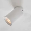 ZUMALINE TLS006-WH TORE LAMPA SUFITOWA BIAŁA/WHITE