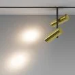 MAYTONI Lampa szynowa TR005-2-2X12W3K-BBS
