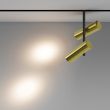 MAYTONI Lampa szynowa TR005-4-2X12W-DS-BBS