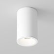 MAYTONI C029CL-01-S-W Zoom lampa sufitowa biały