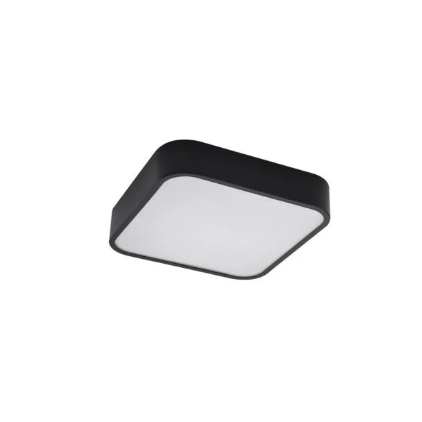 AZZARDO AZ4146 LUCIE 25 BK TECHNICAL TOP BLACK / WHITE