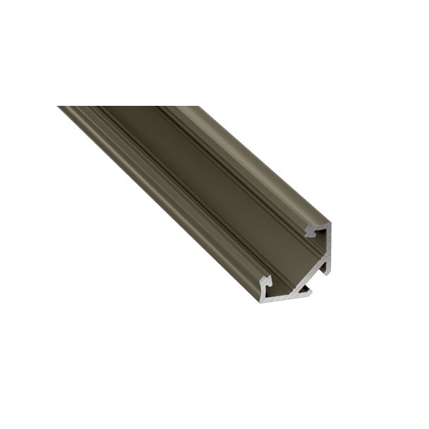 LED LABS 10-0033-10 Profil LED LUMINES typ C inox anodowany 1 m