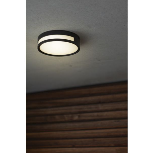 LUTEC 6382201012 ROLA lampa zewnętrzna sufitowa