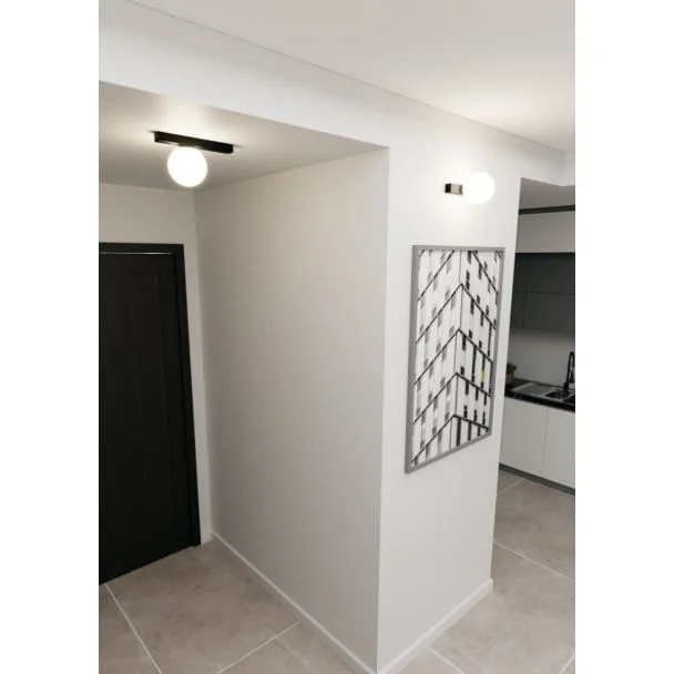 EMIBIG 1124/1 LAMPA SUFITOWA FIT 1 BLACK/OPAL