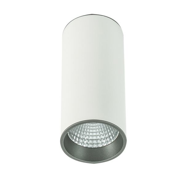 ITALUX Moldes Big WH/GR Ceiling SLC7392/12W 4000K WH+GR