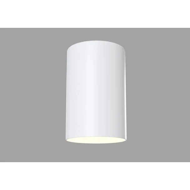 MAYTONI C014CL-01W Ceiling & Wall Alfa Ceiling Lamp White