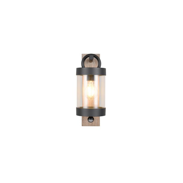 TRIO SAMBESI 204169135 lampa zewnętrzna ścienna
