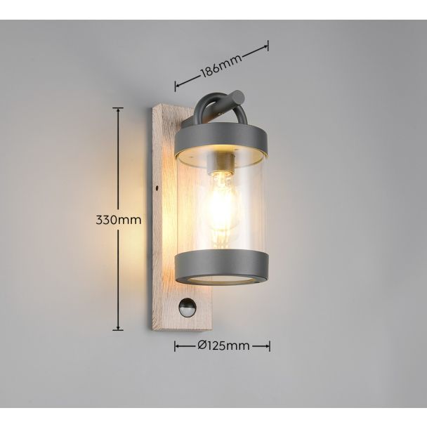 TRIO SAMBESI 204169135 lampa zewnętrzna ścienna