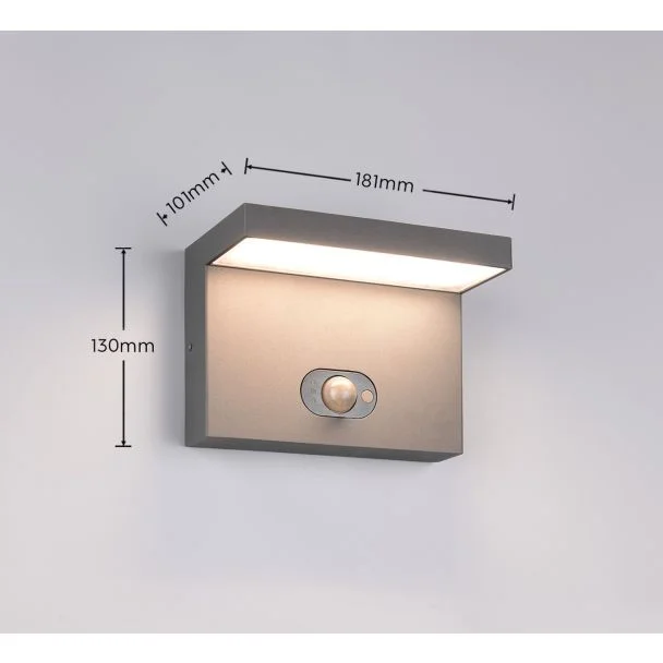 TRIO BLYDE HYBRID 253569142 lampa zewnętrzna ścienna