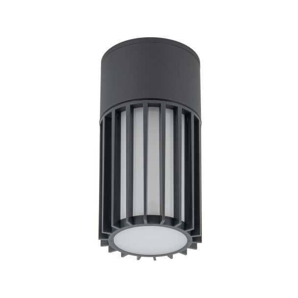 TK-LIGHTING 11508 RIBO GRAY LAMPA SUFITOWA IP54 1XE27